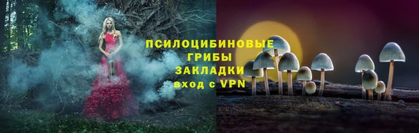 мдпв Каменск-Шахтинский