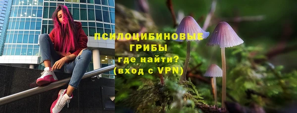 спайс Карталы